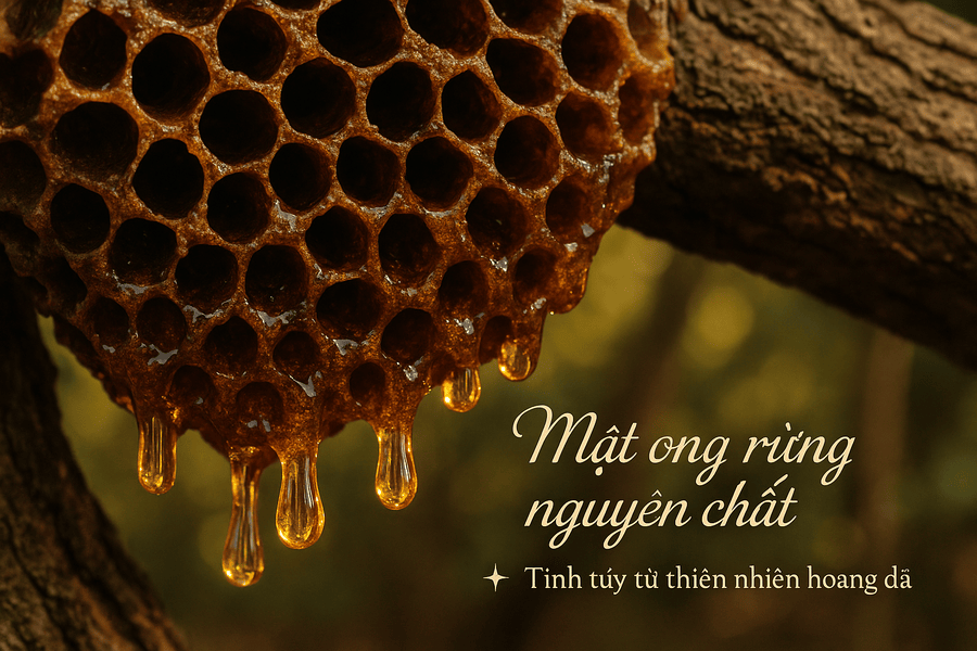 Tổ ong rừng tự nhiên với những giọt mật ong rừng nguyên chất vàng óng, thể hiện sự tinh khiết.