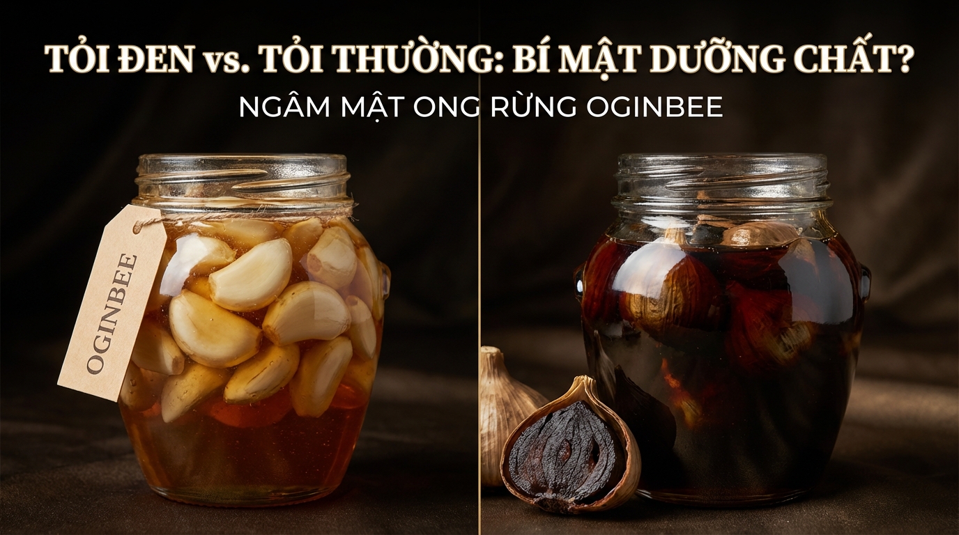 So sánh tỏi thường và tỏi đen ngâm mật ong
