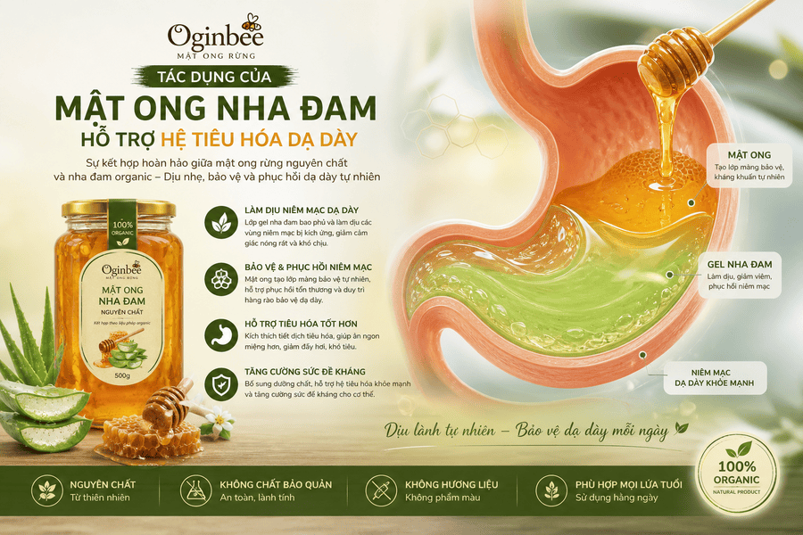 Chữa dạ dày bằng nha đam và mật ong rừng nguyên chất