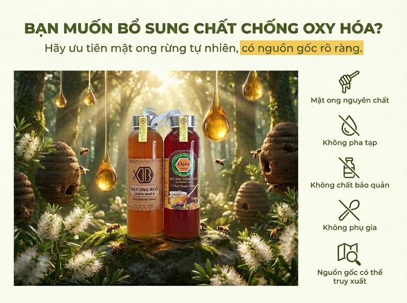 Lựa chọn mật ong rừng chuẩn nguyên chất để tối ưu hiệu quả chống lão hóa.