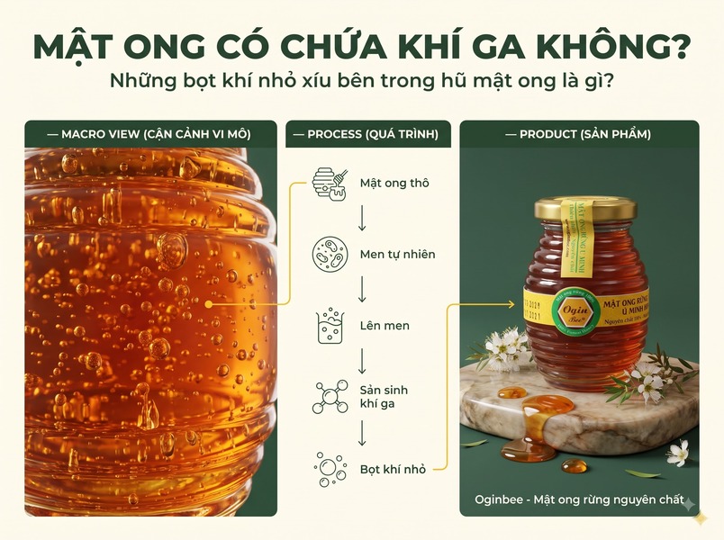 hiện tượng bọt khí gas nổi lên trong hũ mật ong thô tự nhiên do quá trình lên men.