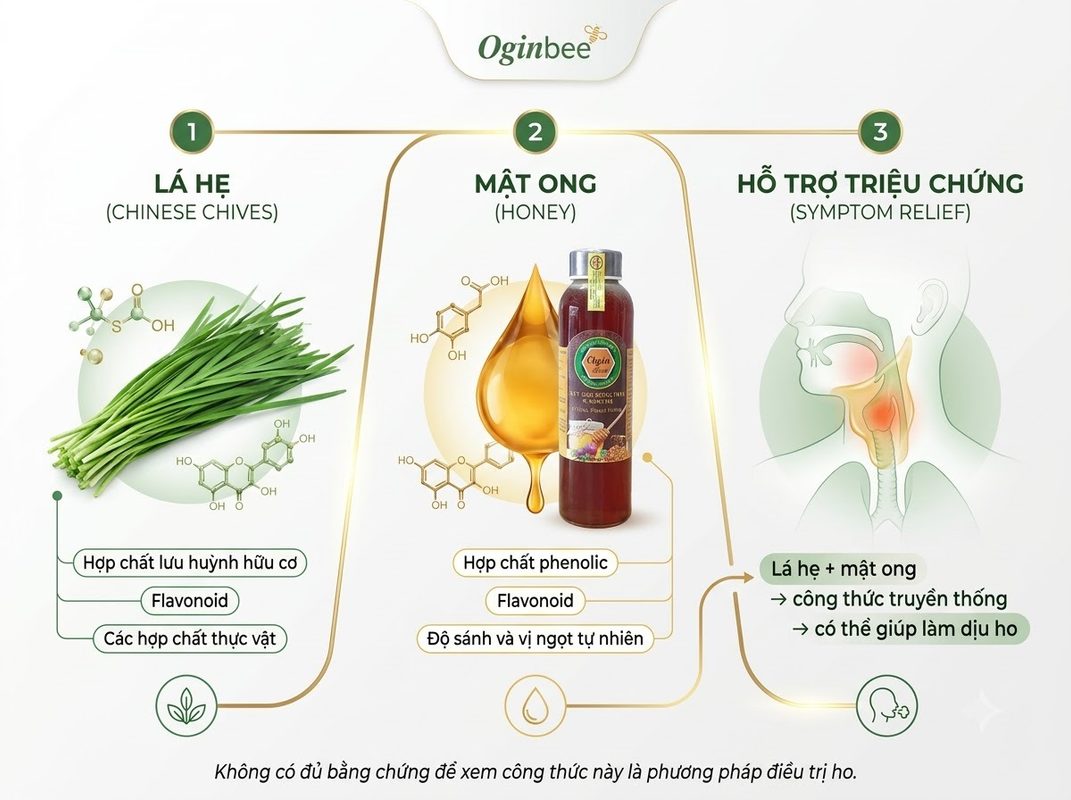 Thành phần dược tính và tác dụng trị ho của lá hẹ kết hợp cùng mật ong.