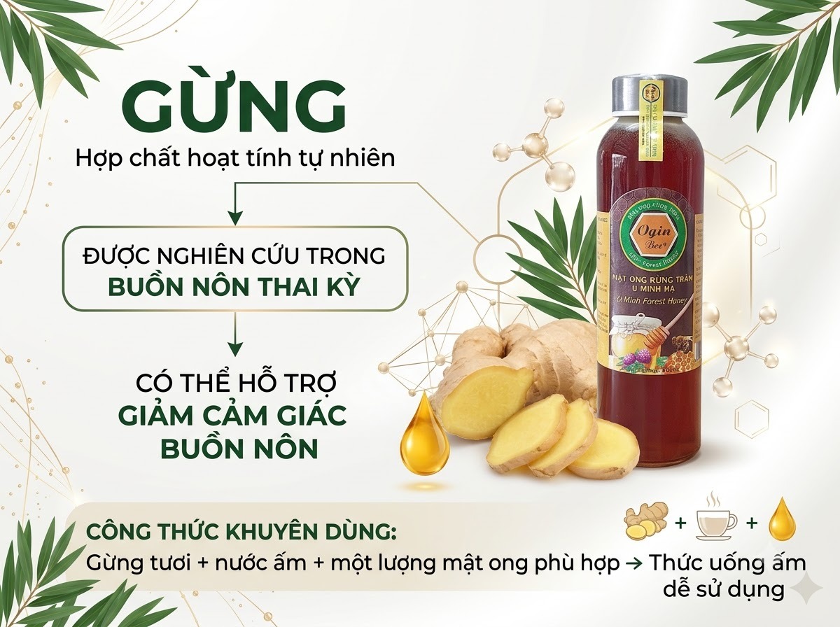 trà gừng mật ong giảm ốm nghén